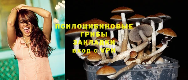 COCAINE Белокуриха