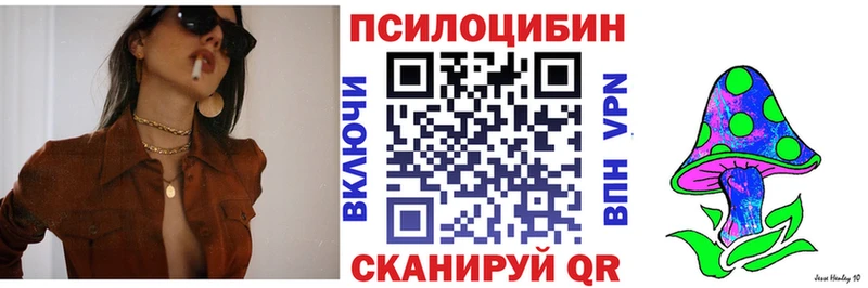 где найти наркотики  дарк нет клад  OMG tor  Галлюциногенные грибы Psilocybe  Облучье 