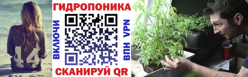 omg вход  Облучье  Бошки Шишки индика  купить  